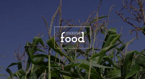 mainfoodwebsite